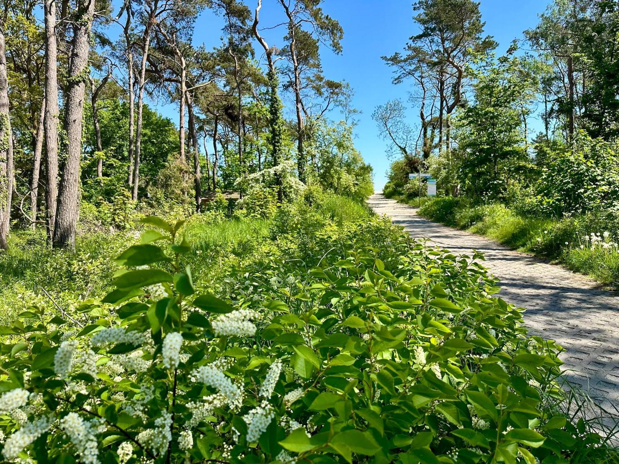 Finnhuette Nr.42 Auf Moenchgut Gager Dış mekan fotoğraf